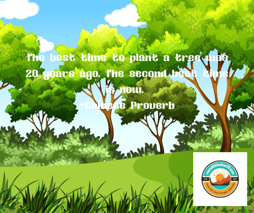 11-Jun-01-2025-09-41-14-6526-PM