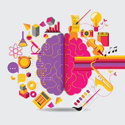 Brain 1