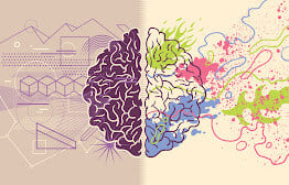 Brain Hemispheres 1