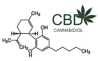 CBD