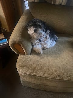 Gracie 5