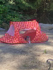 Gracie Tent