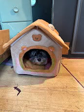 GracieHouse