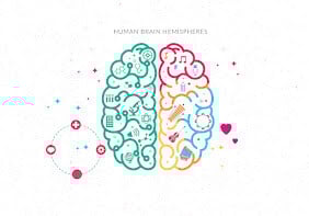 Human Brain Hemispheres 2