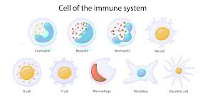 Immune System 2