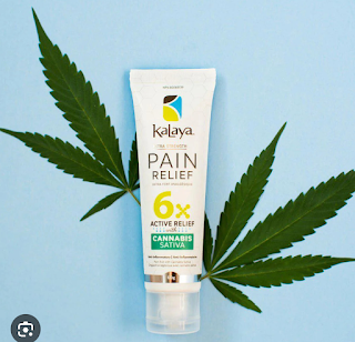 Kalaya Cannabis Sativa-2
