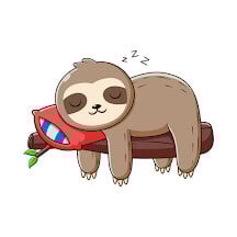 Sloth Sleeping