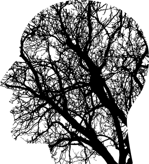 brain 2