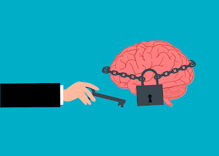 brain 4