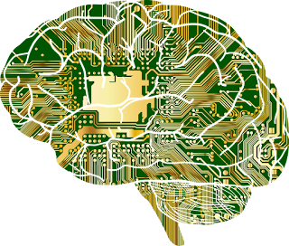 brain 5
