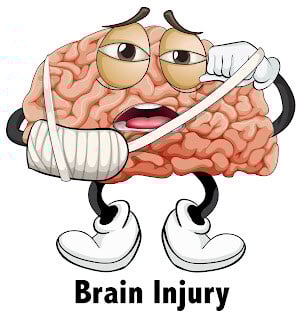 brain 6