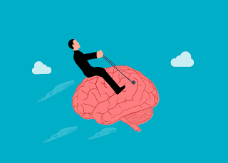 brain 8