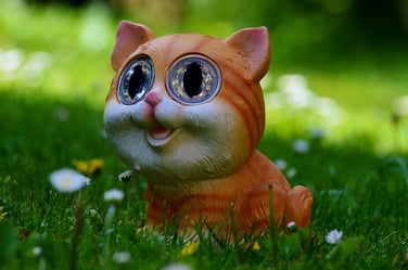 cat-762342_1280