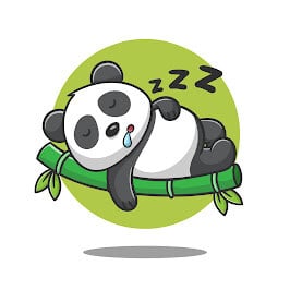 panda sleep